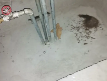 酒泉市卫生间测漏水价格明细